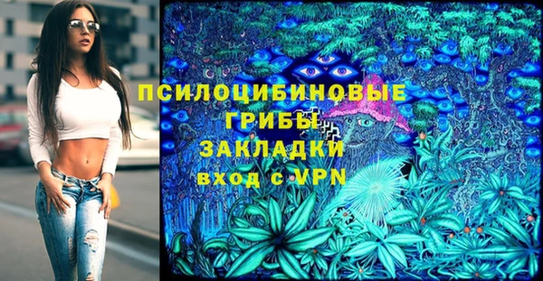 винт Алексеевка