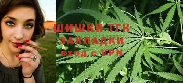 винт Алексин