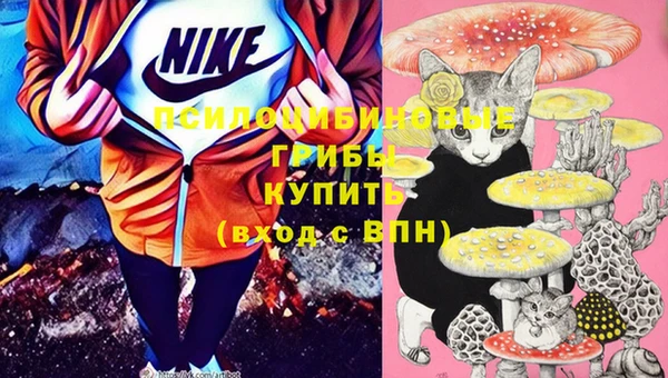 винт Алексеевка