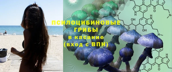 винт Алексеевка