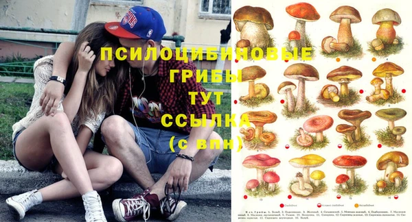 MDMA Premium VHQ Алзамай