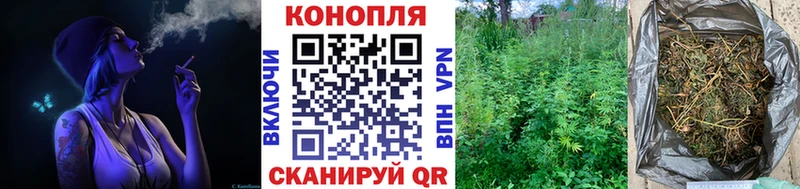 хочу наркоту  Калининск  Канабис MAZAR 